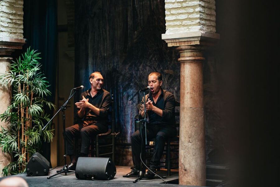 Seville: Puro Flamenco Show with Optional Museum Ticket - Who Will Enjoy This Most?