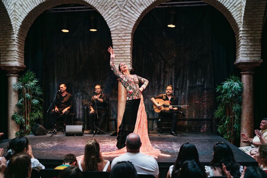 Seville: Puro Flamenco Show with Optional Museum Ticket - What the Dancers Bring to the Stage