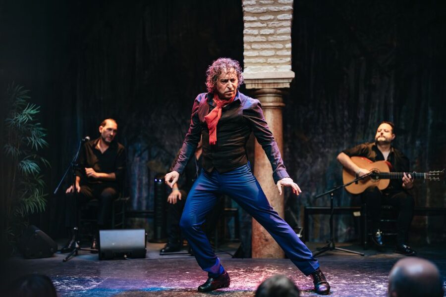 Seville: Puro Flamenco Show with Optional Museum Ticket - Adding the Flamenco Dance Museum