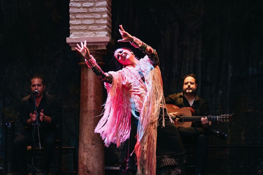 Seville: Puro Flamenco Show with Optional Museum Ticket - Practical Details That Affect Your Visit
