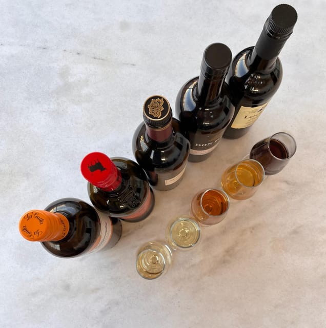 Seville: Sherry Wine Tasting with Light Snacks - Antonio sets the scene before the first pour
