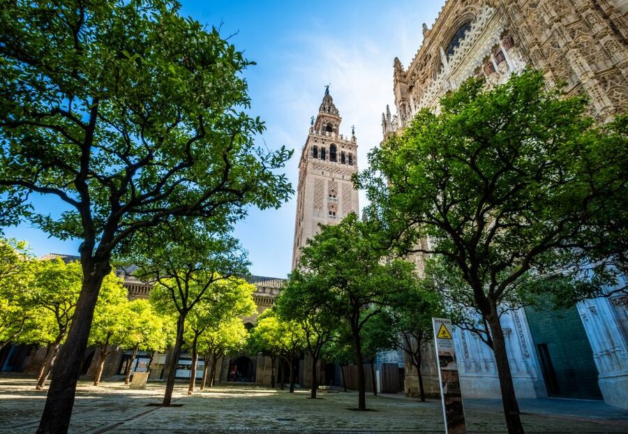 Seville: Small-Group Cathedral and Giralda Tour with Tickets - The guides are a major part of the value
