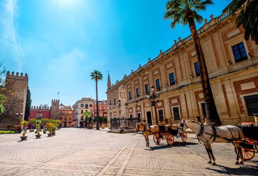Seville: Small-Group City Highlights Walking Tour - Starting at Plaza de San Francisco