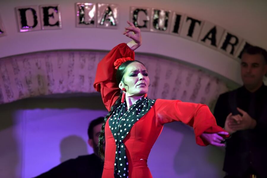 Seville: Ticket to Flamenco Show at La Casa de la Guitarra - The room and the guitar collection