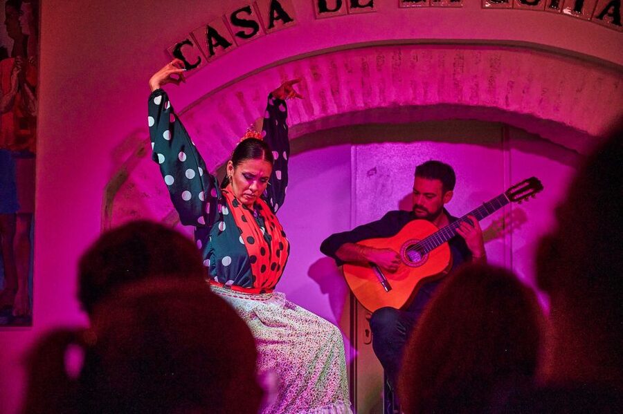 Seville: Ticket to Flamenco Show at La Casa de la Guitarra - The guitar: more than accompaniment