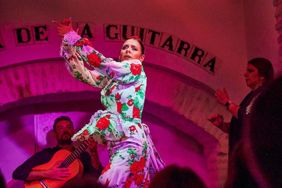 Seville: Ticket to Flamenco Show at La Casa de la Guitarra - Value at $23 per person