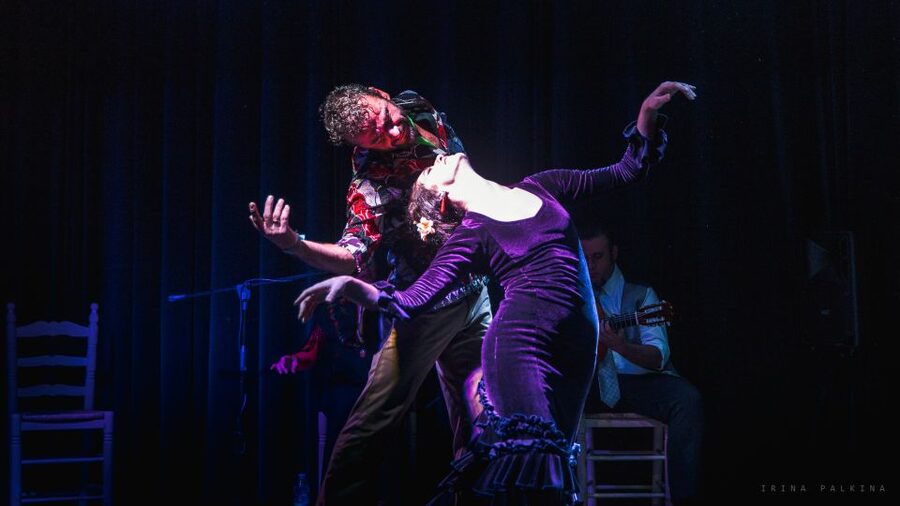 Seville: Traditional Flamenco Show in Triana - My take on the overall experience