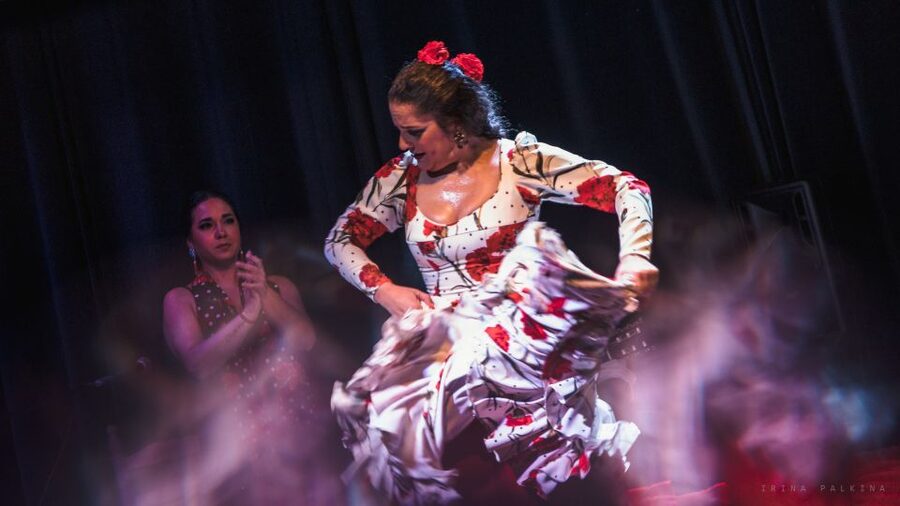 Seville: Traditional Flamenco Show in Triana - Riverside views and the small bar