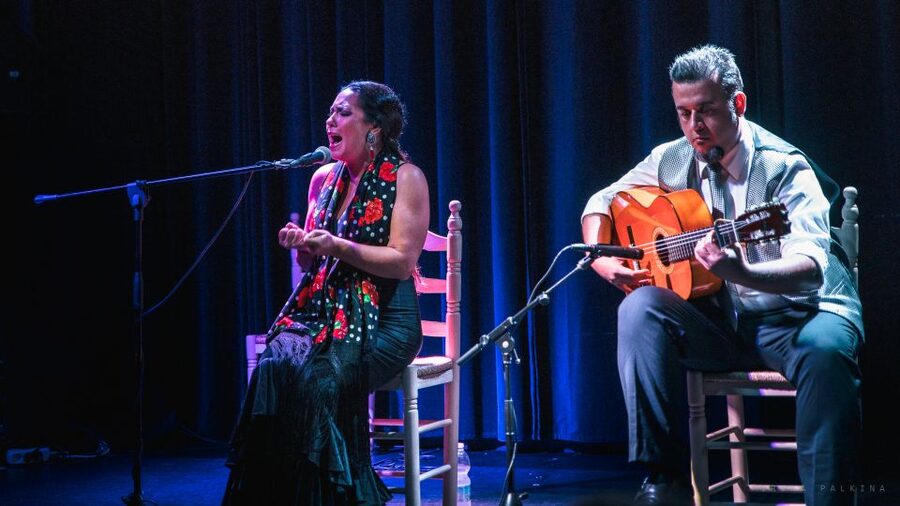 Seville: Traditional Flamenco Show in Triana - Who will enjoy this most?