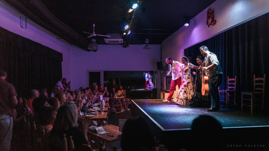 Seville: Traditional Flamenco Show in Triana - What the one-hour performance includes