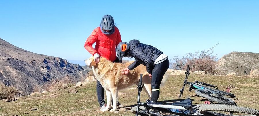 Sierra Nevada Small Group E-Bike Tour - Is $117 a fair price?