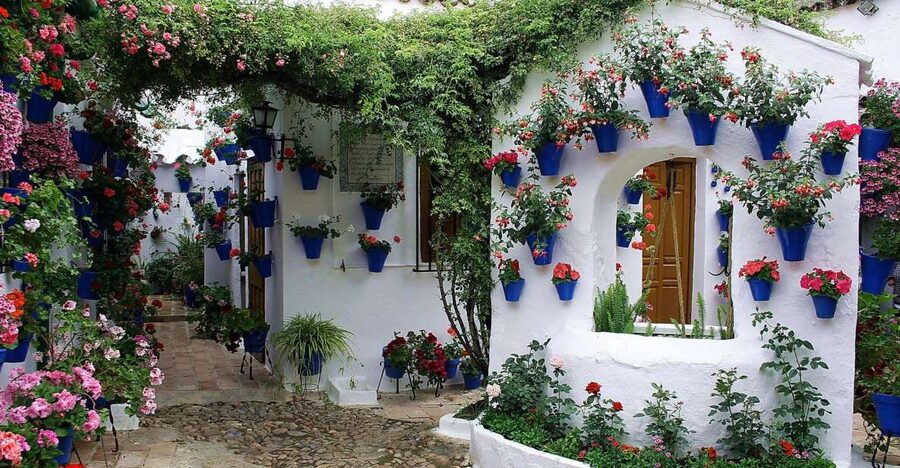 Sights, Sounds, and Scents of Córdoba's Patios - Who will enjoy this patio walk most