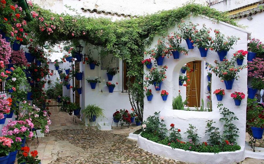 Sights, Sounds, and Scents of Córdoba's Patios - Why Córdoba’s patios matter