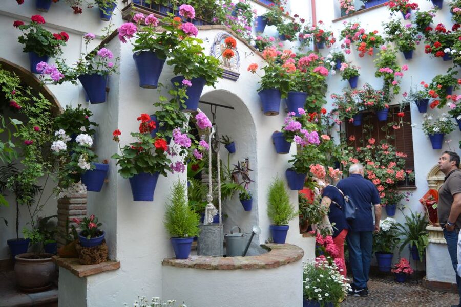 Sights, Sounds, and Scents of Córdoba's Patios - Visiting eight to twelve competition patios