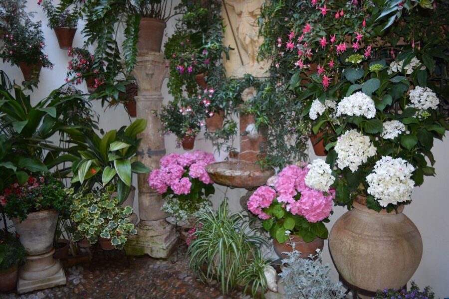Sights, Sounds, and Scents of Córdoba's Patios - Is $26 a fair price?
