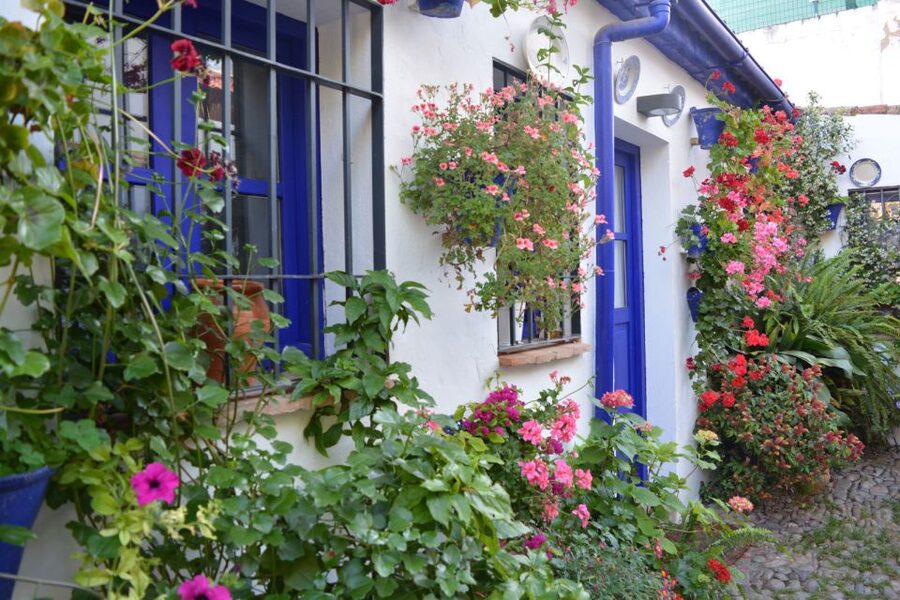 Sights, Sounds, and Scents of Córdoba's Patios - What to wear and what to leave behind