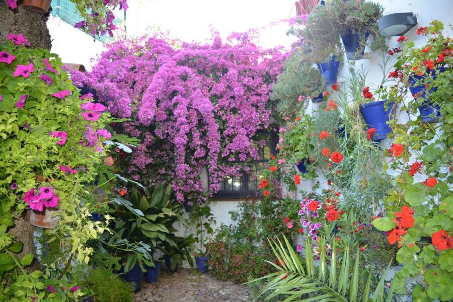 Sights, Sounds, and Scents of Córdoba's Patios - Meeting at Manolete’s Monument