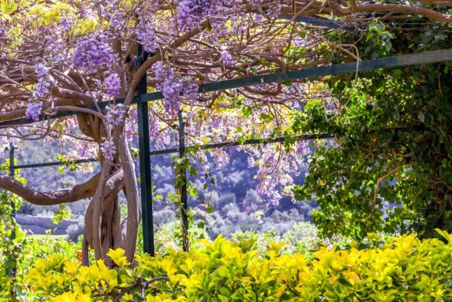 Sóller: Jardines de Alfabia Entrance Ticket - The Best Time to Visit Alfabia