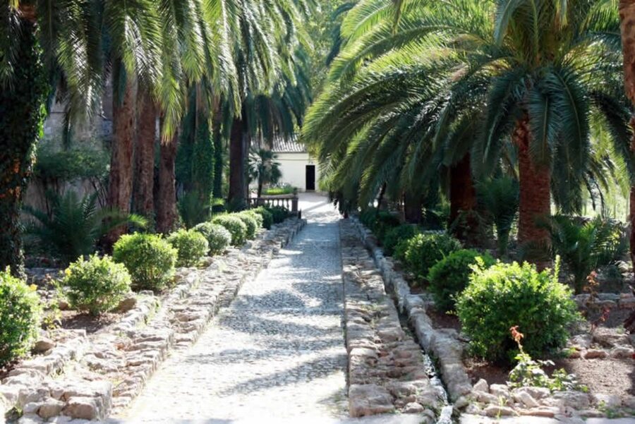 Sóller: Jardines de Alfabia Entrance Ticket - Who Will Enjoy This Stop Most?