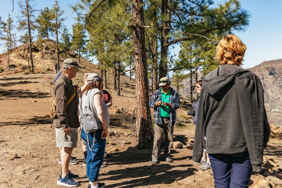 South Gran Canaria: Off-Road Valleys & Villages Jeep Tour - Key points to know before you book
