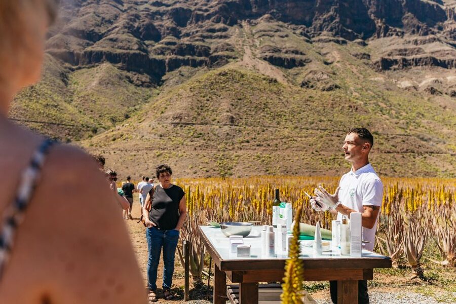 South Gran Canaria: Off-Road Valleys & Villages Jeep Tour - Narrow tracks, steep drops and the thrill factor