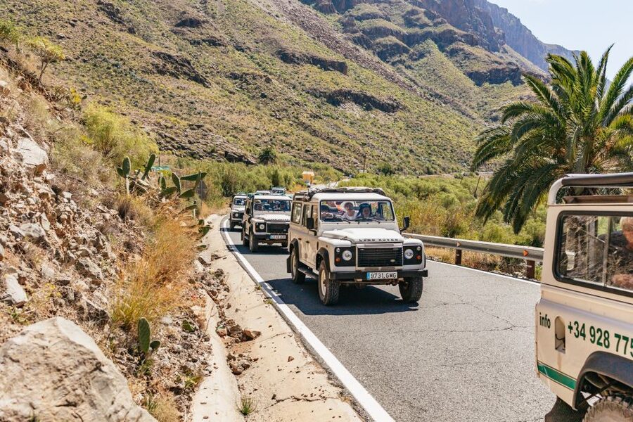 South Gran Canaria: Off-Road Valleys & Villages Jeep Tour - The final view at Degollada de las Yeguas