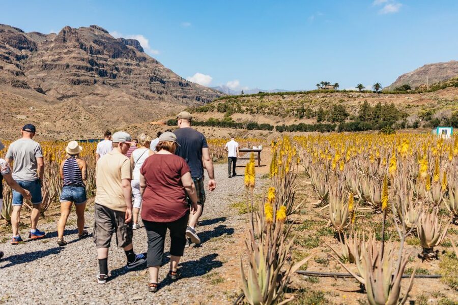 South Gran Canaria: Off-Road Valleys & Villages Jeep Tour - Pickup from the southern resorts