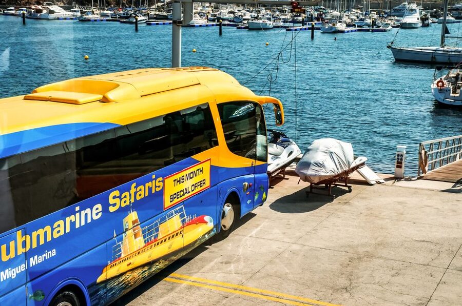 Southern Tenerife: 50-Minute Submarine Dive - Key points to know before booking