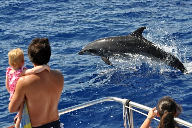 Spirit of the Sea: Cetacean sighting in Gran Canaria - Searching for Dolphins, Whales, Turtles, and Flying Fish