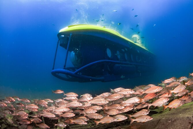 SUBMARINE ADVENTURE - Submarine Excursion in Puerto de Mogán - Key points before you book
