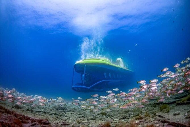 SUBMARINE ADVENTURE - Submarine Excursion in Puerto de Mogán - The two wrecks and the slow underwater circuit