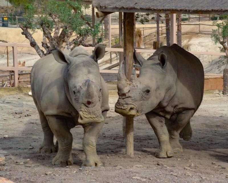 Tabernas: MiniHollywood Oasys Entry Ticket & Optional Buffet - The Zoological Reserve and its conservation role