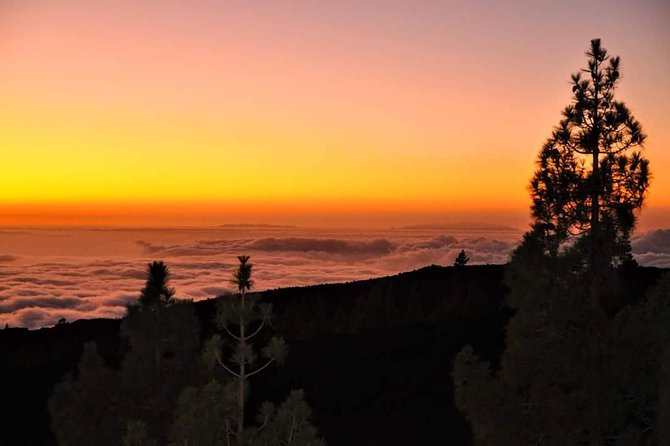 Teide National Park Sunset & Stargazing with Dinner (Star Safari) - The three-course Canarian dinner at Restaurante 7 Cañadas