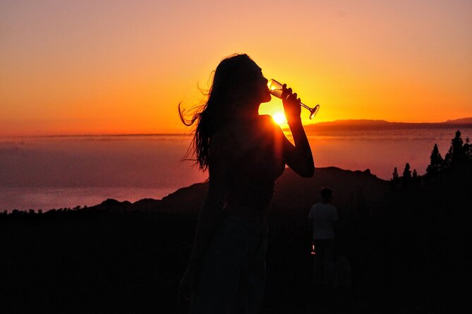Teide National Park Sunset & Stargazing with Dinner (Star Safari) - Who should book, and who should choose a smaller tour?
