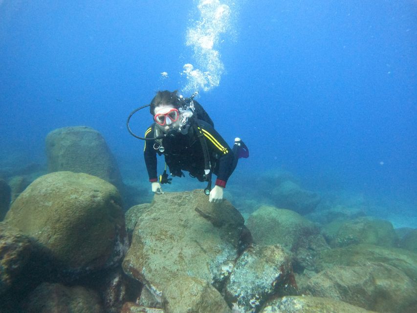 Tenerife: Beginners Scuba Dive Experience in Turtle Area - The 15-minute speedboat ride is part of the reward
