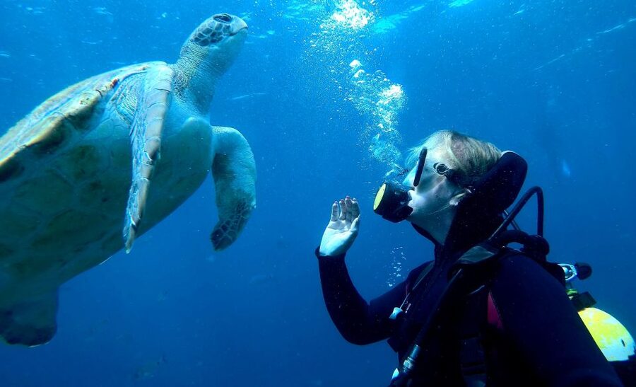 Tenerife: Beginners Scuba Dive Experience in Turtle Area - What the instructors do well