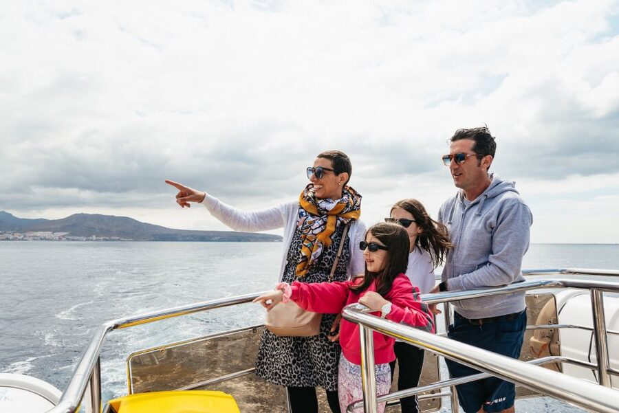 Tenerife: Eco-Yacht Whale and Dolphin Watching and Swimming - Comfort, Crowds, and Onboard Service