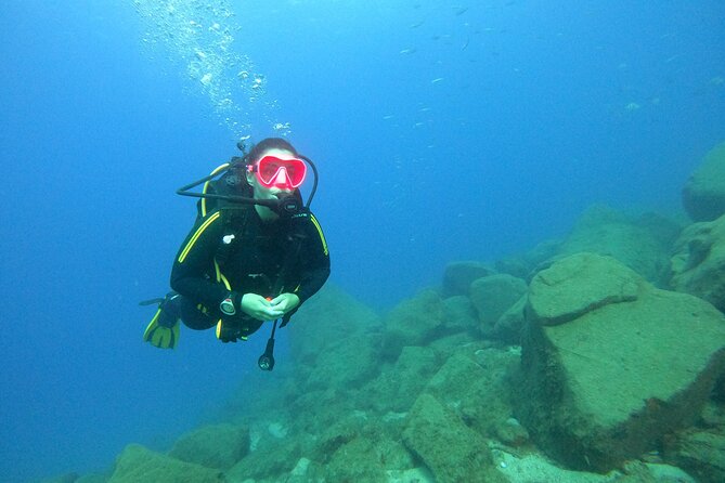 Tenerife First Time Scuba Dive – Turtle Habitat, Small Groups - Starting at Travel Sub Dive Center in Puerto Colon