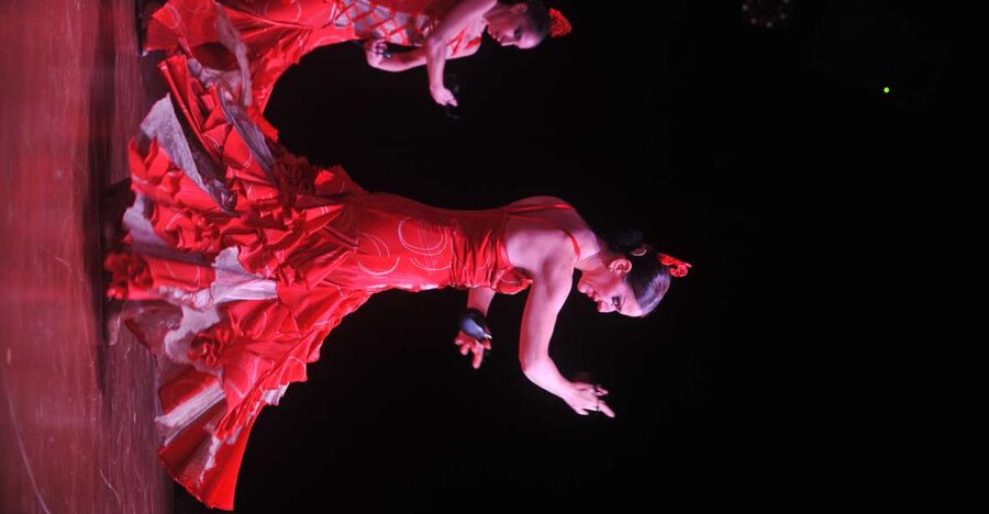 Tenerife: Flamenco Performance at Teatro Coliseo - The second act: live guitar, singing, and a flamenco love story