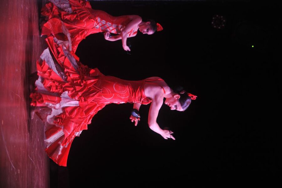 Tenerife: Flamenco Performance at Teatro Coliseo - Hotel pickup from Tenerife’s southern resorts