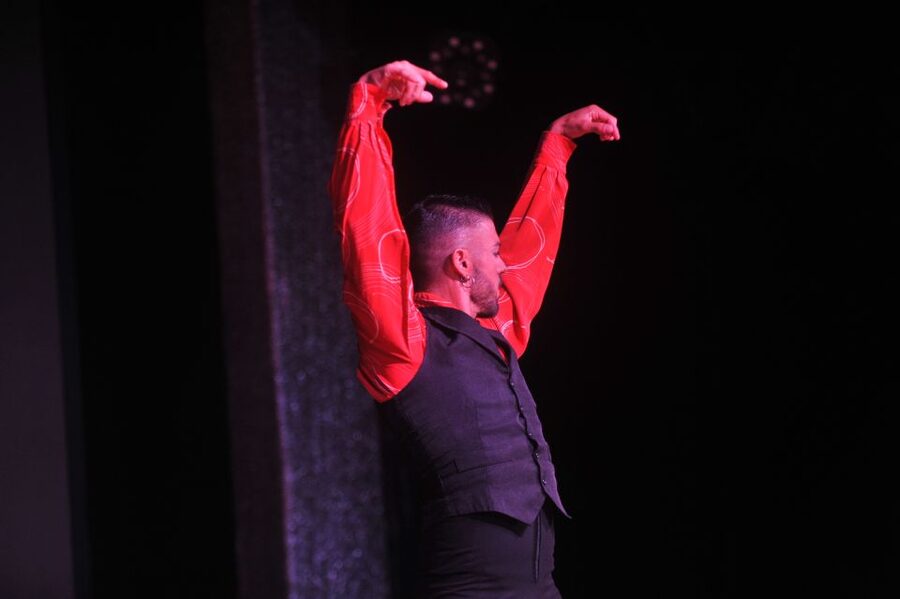 Tenerife: Flamenco Performance at Teatro Coliseo - Is the show authentic enough?