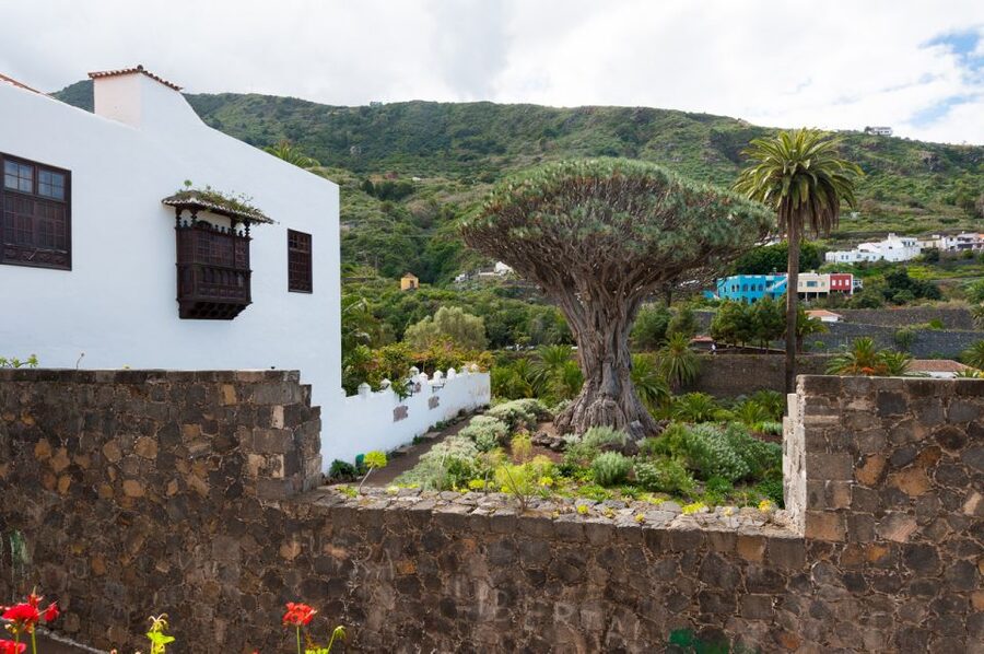 Tenerife: Full-Day Guided Island Tour - One day, four sides of Tenerife