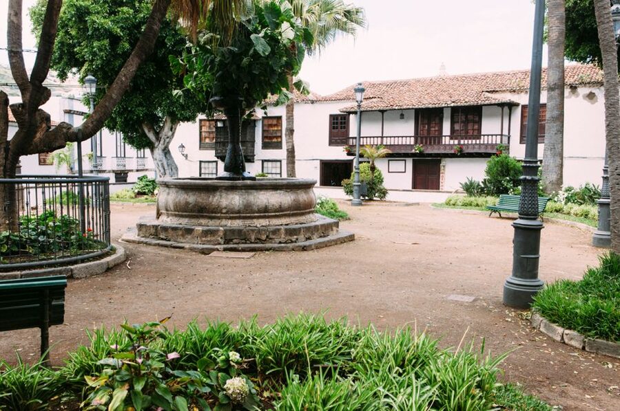 Tenerife: Full-Day Guided Island Tour - Is $64 good value?