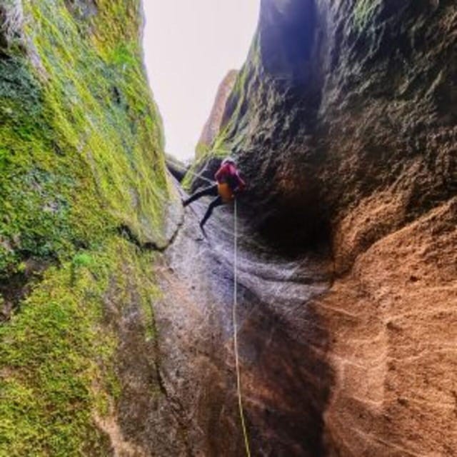 Tenerife: Guided Canyoning Experience in Los Arcos - Seven rappels through volcanic ash