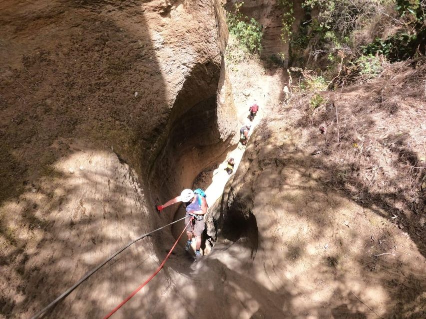 Tenerife: Guided Canyoning Experience in Los Arcos - Who should choose this canyoning trip?