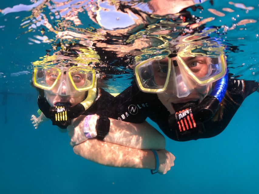 Tenerife: Half-Day Snorkeling Tour - Should you book the Abades snorkeling tour?