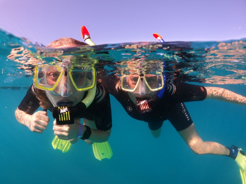 Tenerife: Half-Day Snorkeling Tour - What makes Abades Bay a good snorkeling spot