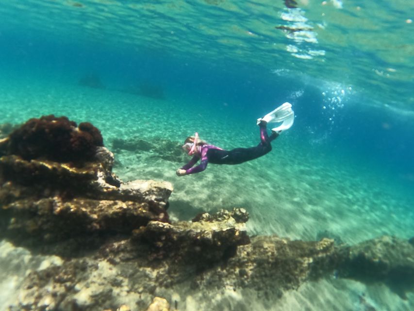Tenerife: Half-Day Snorkeling Tour - How the four-hour schedule works