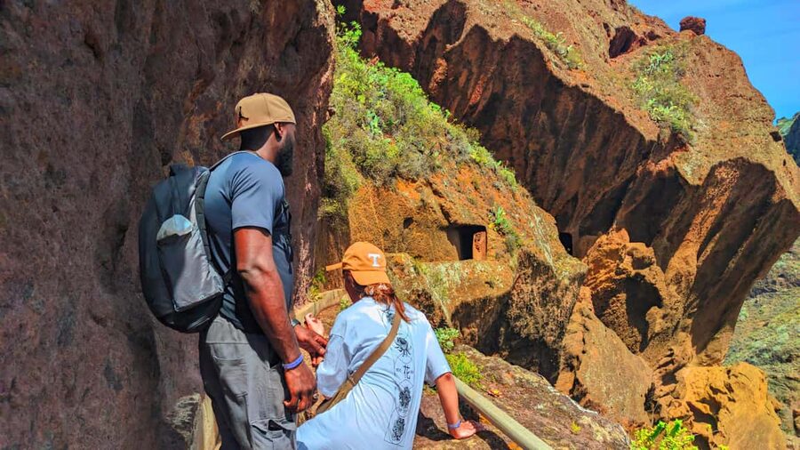 Tenerife: Hiking Tour in Anaga Mountains & Enchanted Forest - Key points to know before booking