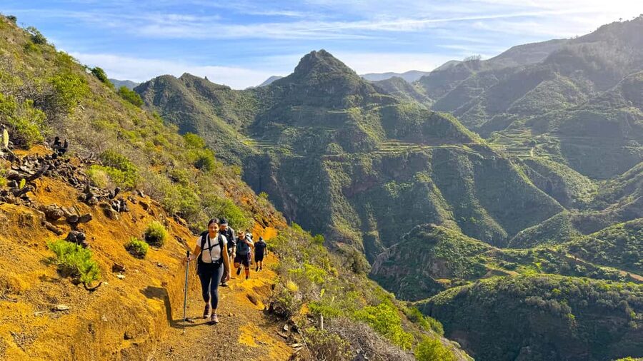 Tenerife: Hiking Tour in Anaga Mountains & Enchanted Forest - Through the Enchanted Forest by water channel